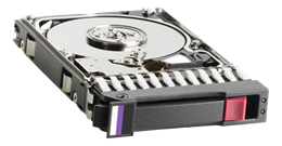 HD HP 493083-001, 300GB / DEL1002909